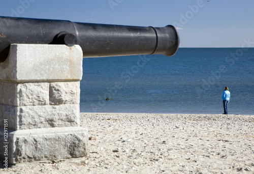 Cannons at Compo Beach, CT, USA photo