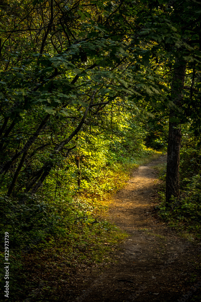 Fototapeta premium Way through