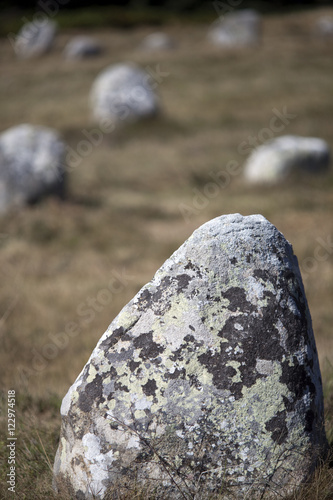 Megalithic alignment of Menec, town of Carnac, departament of Morbihan, Brittany, France photo