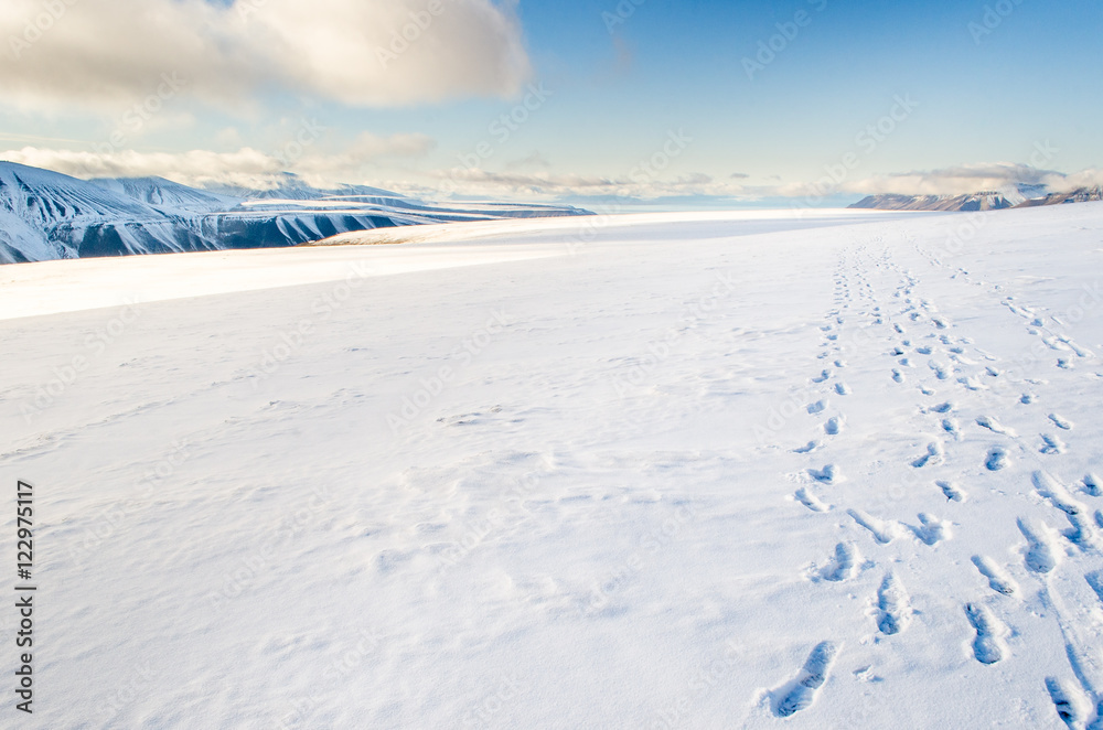 Footsteps on fresh snow on top of an Arctic Glacier