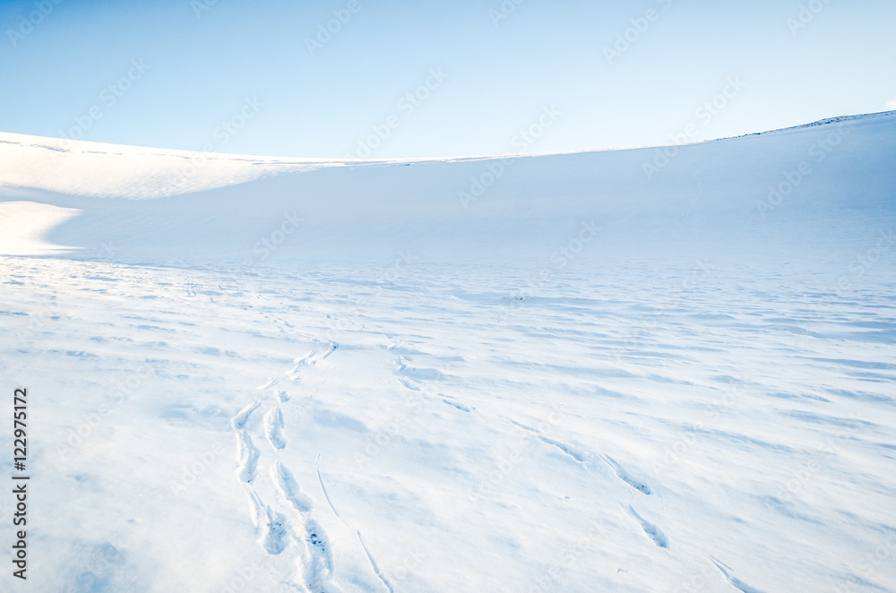 Footsteps in the fresh snow on Foxfonna Glacier in the High Arctic Footsteps in the fresh snow on Foxfonna Glacier in the High Arctic