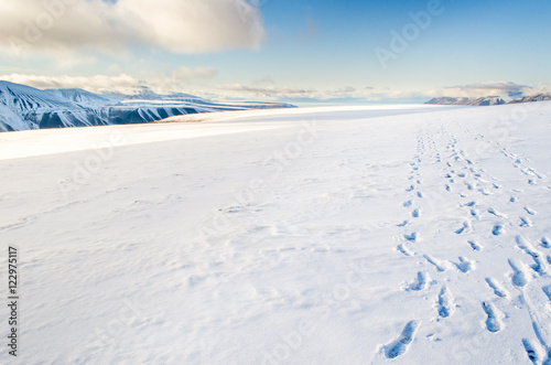 Footsteps on fresh snow on top of an Arctic Glacier