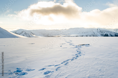 Footsteps leading into the distance on a High Arctic Glacier