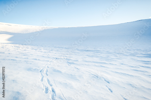 Footsteps in the fresh snow on Foxfonna Glacier in the High Arctic