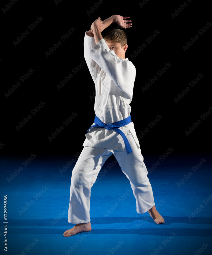 Martial arts fighter isolated