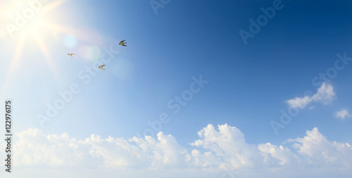 abstract Spring morning landscape with flying birds in the sky