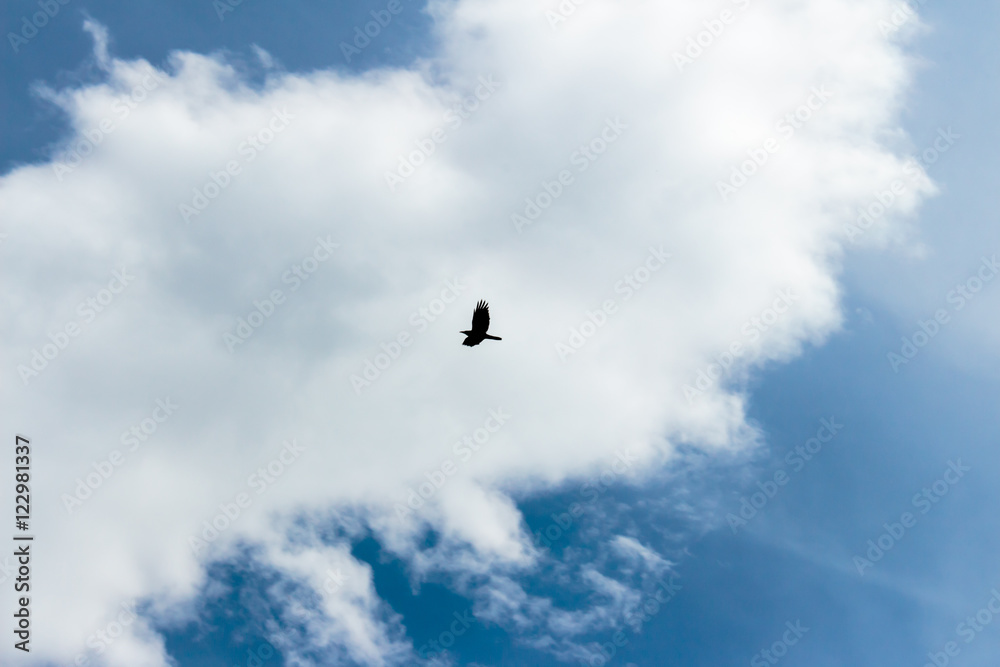 Blue sky background with clouds. Blue hues and outdoor. Blue sky background with clouds. Blue hues and outdoor.