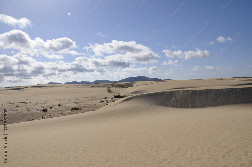 Natural-park, Corralejo , Fuerteventua, Canary Islands, Spain Natural-park, Corralejo , Fuerteventua, Canary Islands, Spain