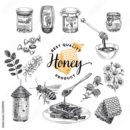 Honey vector set. Beekeeping illustrations in sketch style. 
