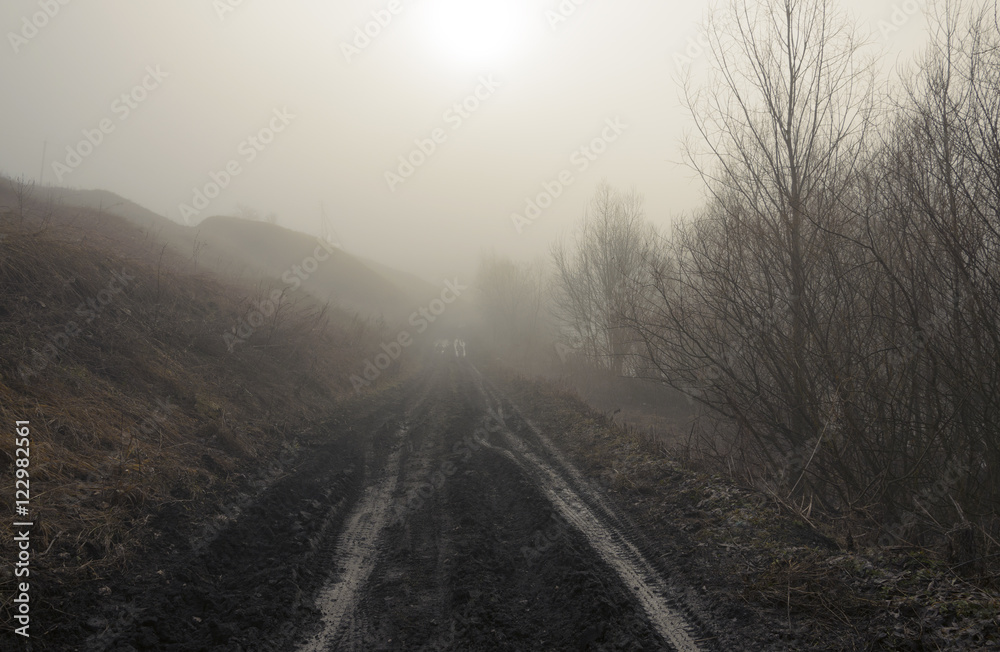 Springtime.Countryside road.