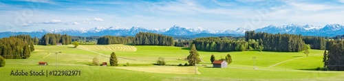 Allgäuer Berg-Panorama, typische Wiesenlandschaft