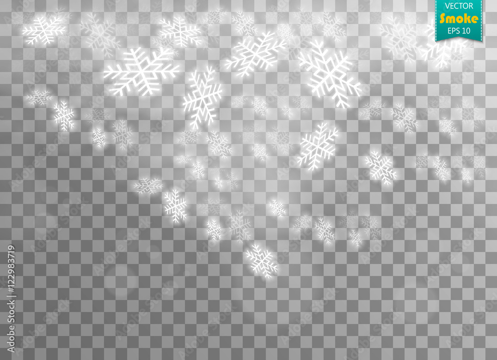 transparent background with snowflakes, vector illustration transparent background with snowflakes, vector illustration