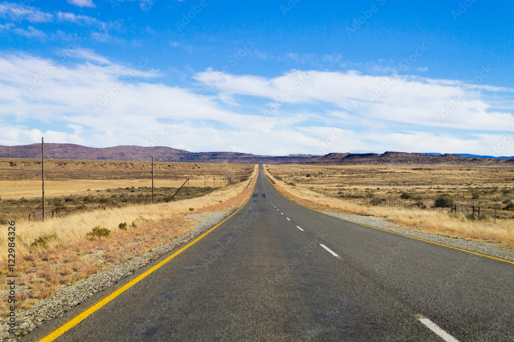 Perspective road from Orange Free State, South Africa