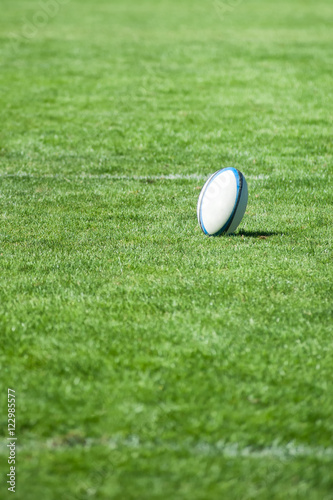 Rugby ball at green grass
