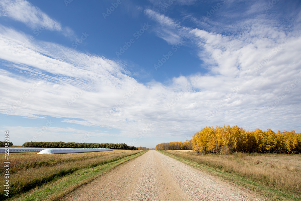 Naklejka premium Gravel road between fields with two grain bags filled with grain with forest of autumn colored trees in rural fall countryside landscape