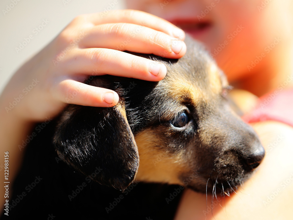 Puppy in hands of girl