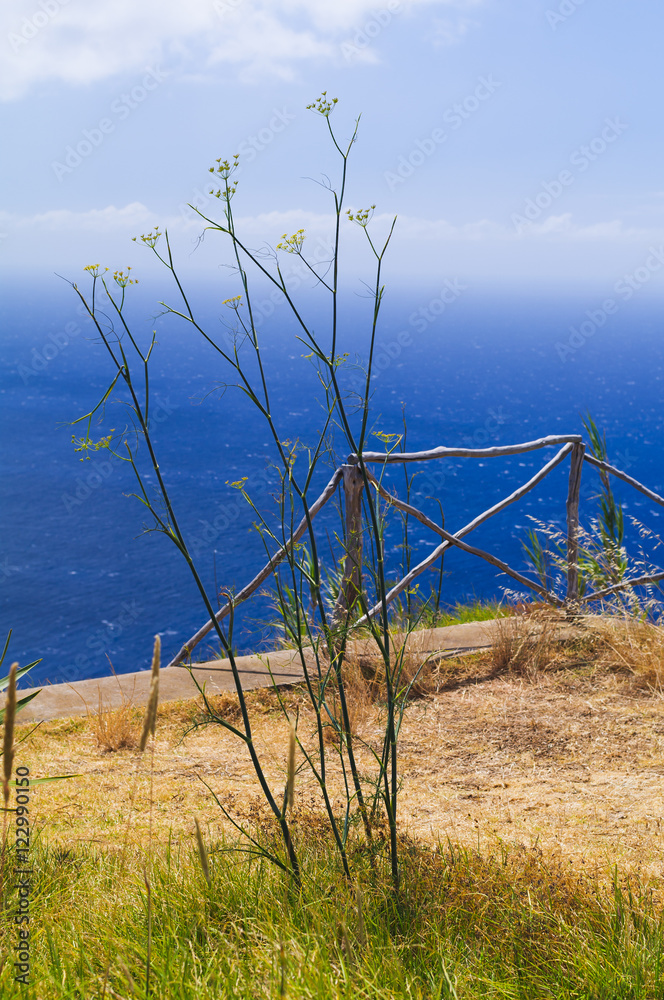 Obraz premium Beautiful views of the coast of the island. Madeira. Portugal