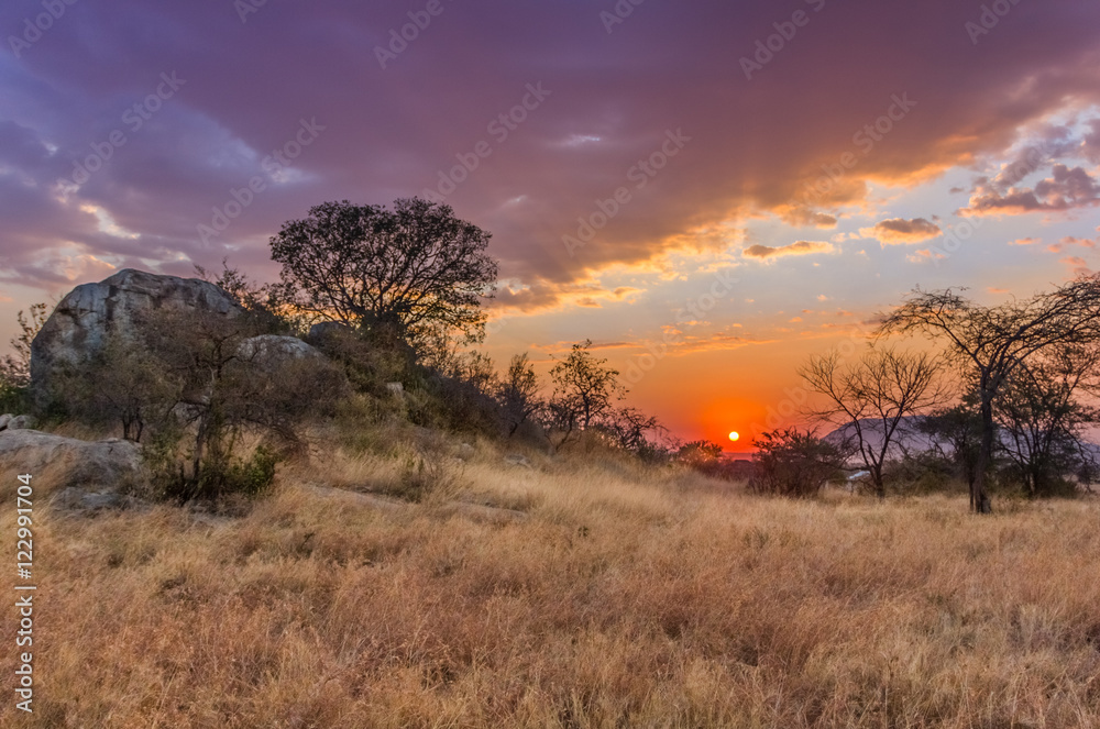 Coucher de soleil de safari en Tanzanie, Afrique