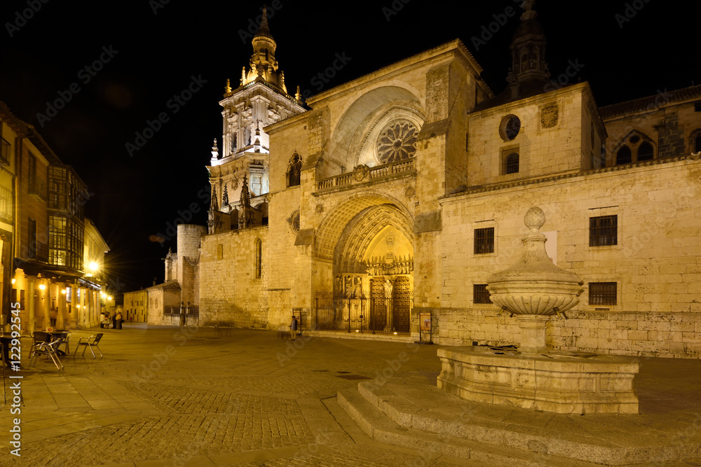 Night at the Cathedral, El Burgo de Osma, Soria province,  Castilla-Leon, Spain