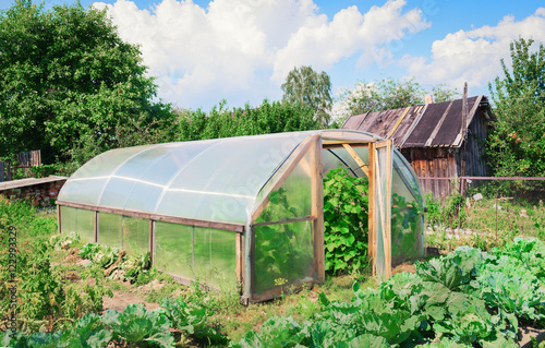 Greenhouse in garden summer © fserega