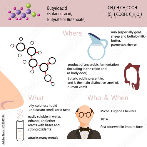 Butyric acid. Infographics. Main information about butanoic acid
