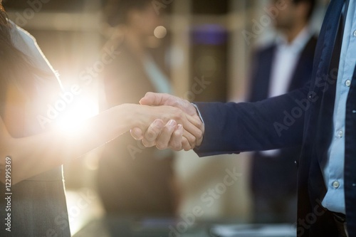 Businessman shaking hands with colleague