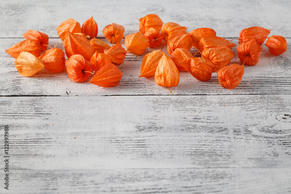 Autumn background with Delicate bright orange Physalis, also kno - obrazy, fototapety, plakaty 
