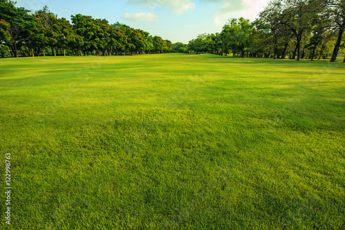 green grass field of public park in morning light