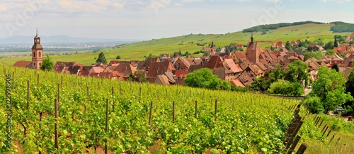 Le village alsacien de Riquewihr au milieu des vignes photo
