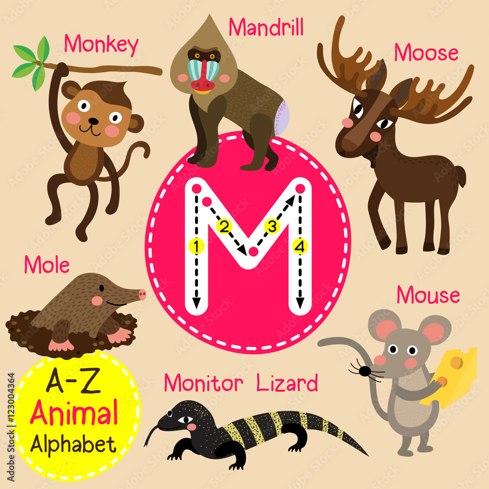 M letter tracing. Monkey. Mouse. Mole. Monitor Lizard. Mandrill. Cute