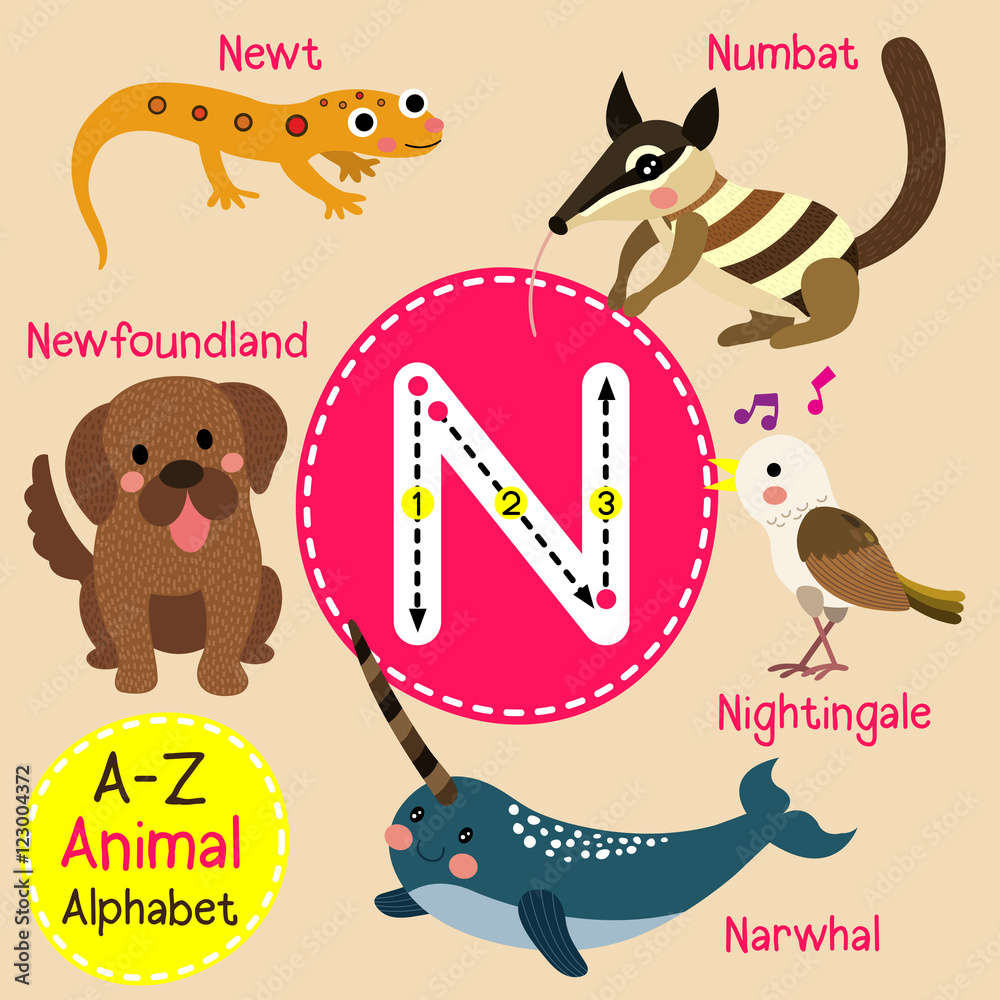 N letter tracing. Narwhal. Newfoundland. Newt. Nightingale. Numbat ...