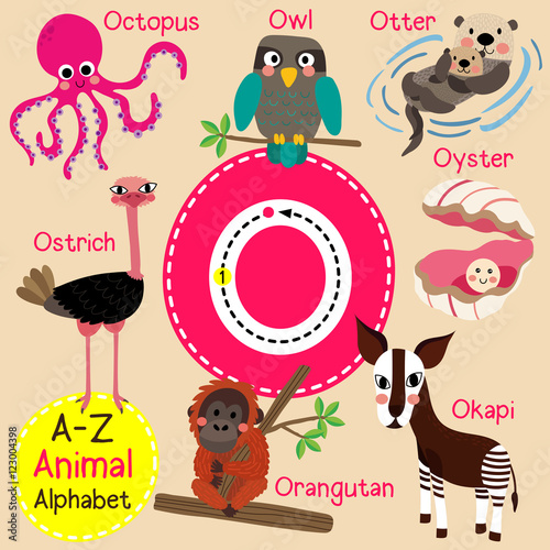 O letter tracing. Octopus. Orangutan. Otter. Owl. Oyster. Ostrich. Cute children zoo alphabet flash card. Funny cartoon animal. Kids abc education. Learning English vocabulary. Vector illustration.