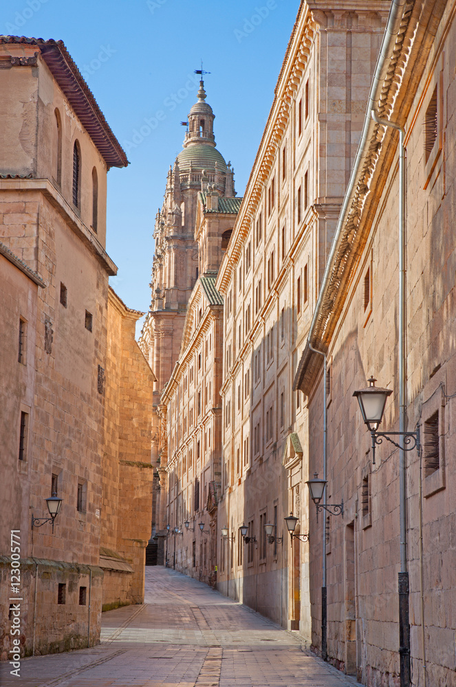 Salamanca - The Calle Compania street and baroque portal La Clerecia - Pontifical University.