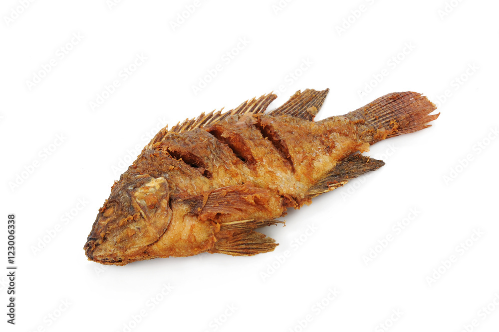 Fried Tilapia fish fried isolated on white background