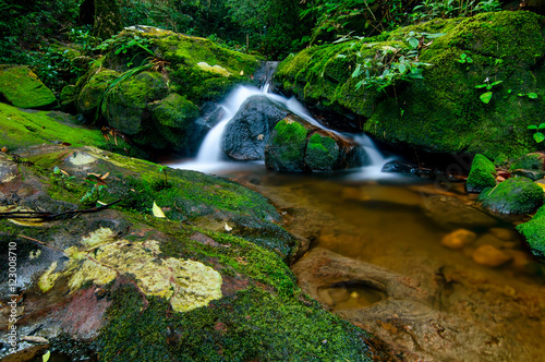 Fototapeta Naklejka Na Ścianę i Meble -  small waterfall in forest