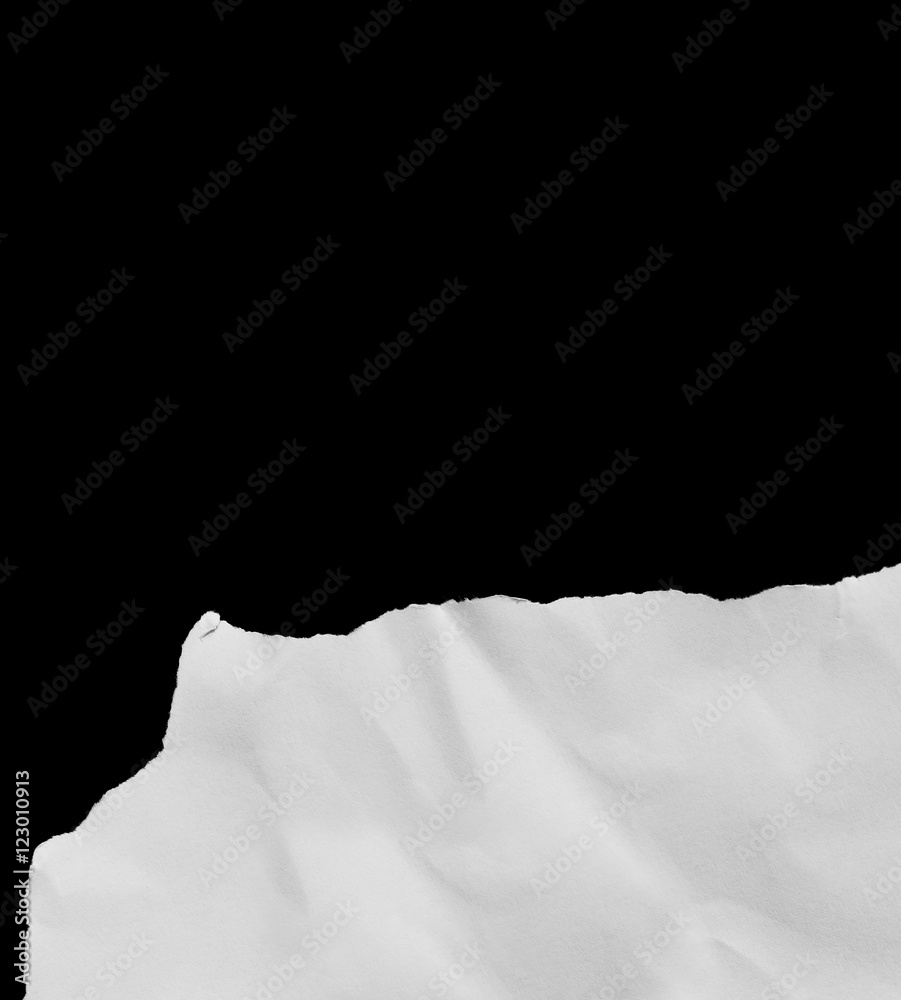 Ripped paper, space for advertising copy Ripped paper, space for advertising copy