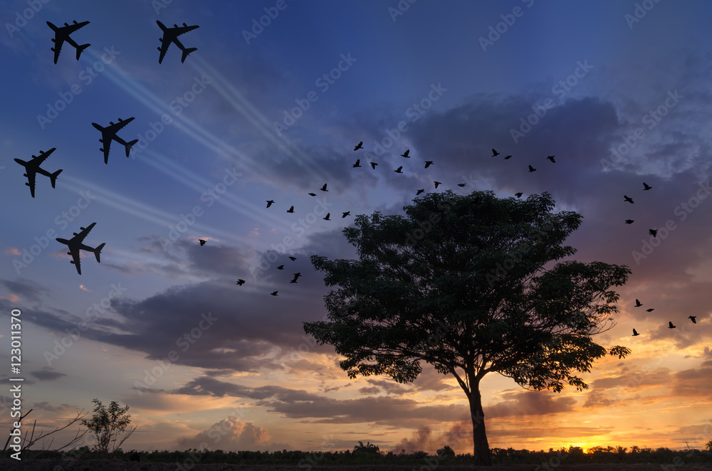 Silhouette tree with flying birds