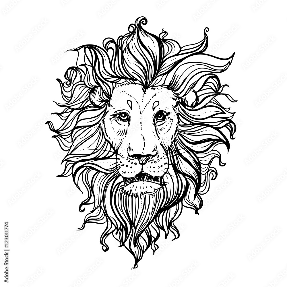 Hand drawn vector illustration of doodle lion. sketch. Vector eps 8 ...
