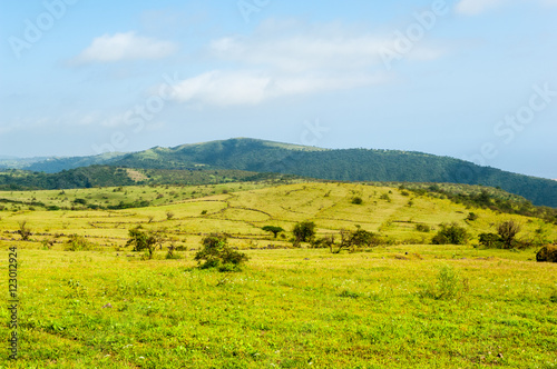 Highlands of Salalah, Dhofar, Sultanate of Oman