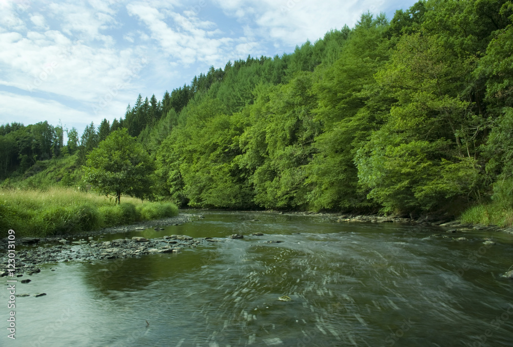 The Ourthe river running wild surrounded by green forest. 