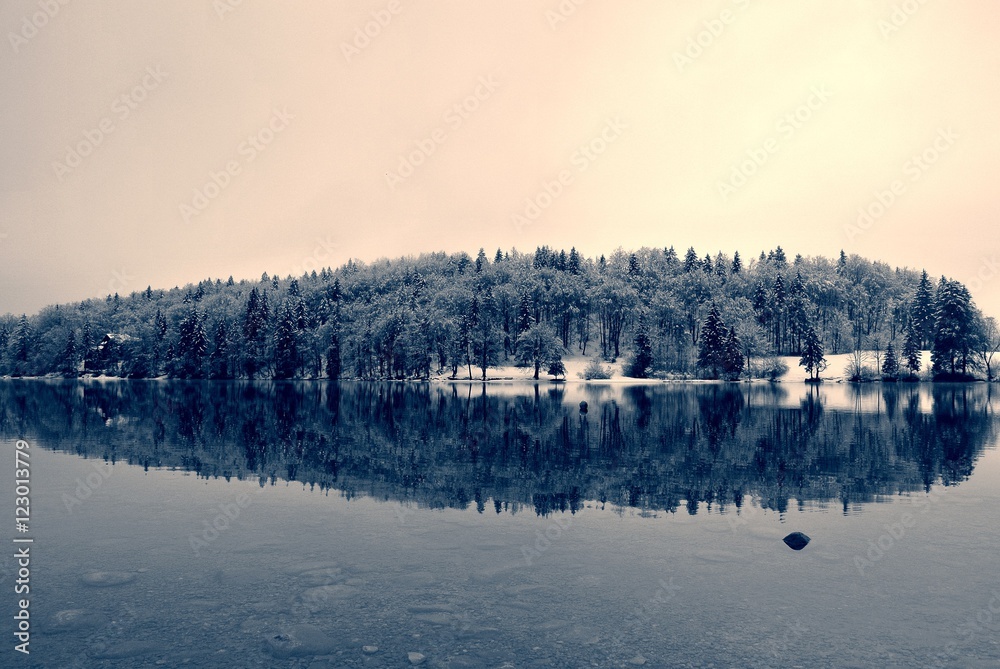 Snowy winter landscape on the lake in black and white., with trees reflecting on still water surface. Monochrome image filtered in nostalgic, retro, vintage style with soft focus and red filter.