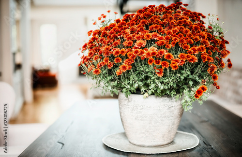 Foto Vase with chrysanthemum on a table in the living room, home interior and design