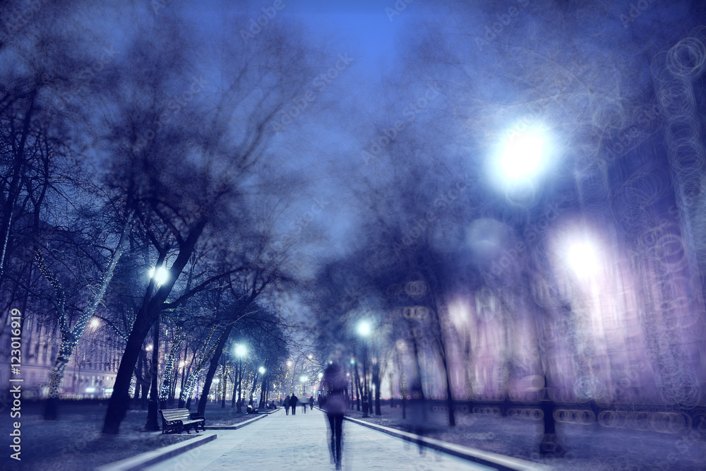 night landscape in winter city park