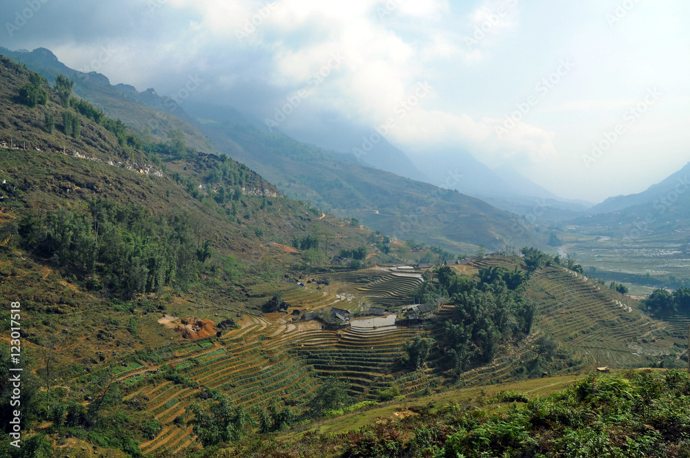 Rice farming with farmer cabin on Vietnam mountain
