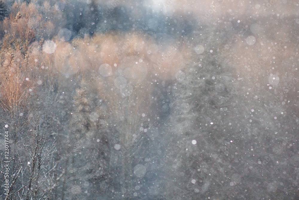 blurred winter background with snowflakes for text