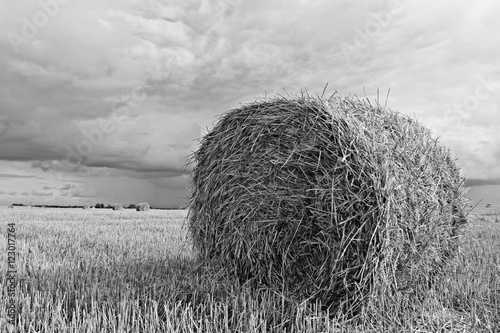 Fototapeta landscape haystacks in a field of autumn village