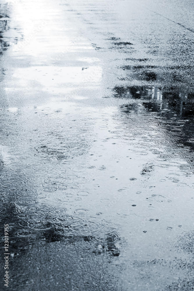 rain drops on wet asphalt. wet street pavement during rain in autumn  season. фотография Stock | Adobe Stock