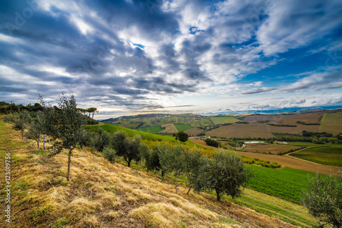 rural view of Italian countryside