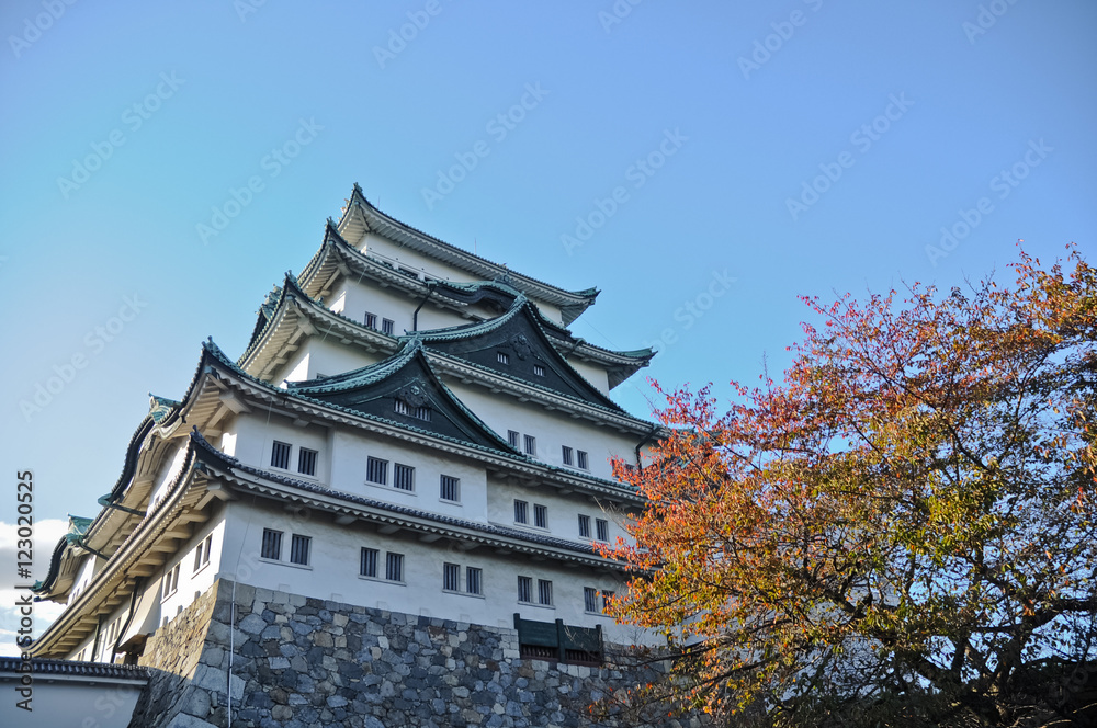 Ancient Osaka castle and maple trees in Autumn Kansai Japan Ancient Osaka castle and maple trees in Autumn Kansai Japan