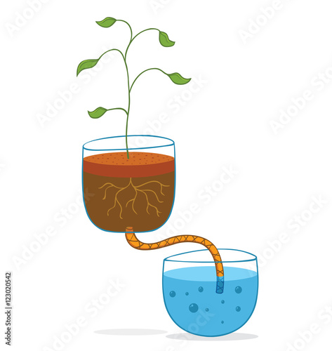 hydroponic concept